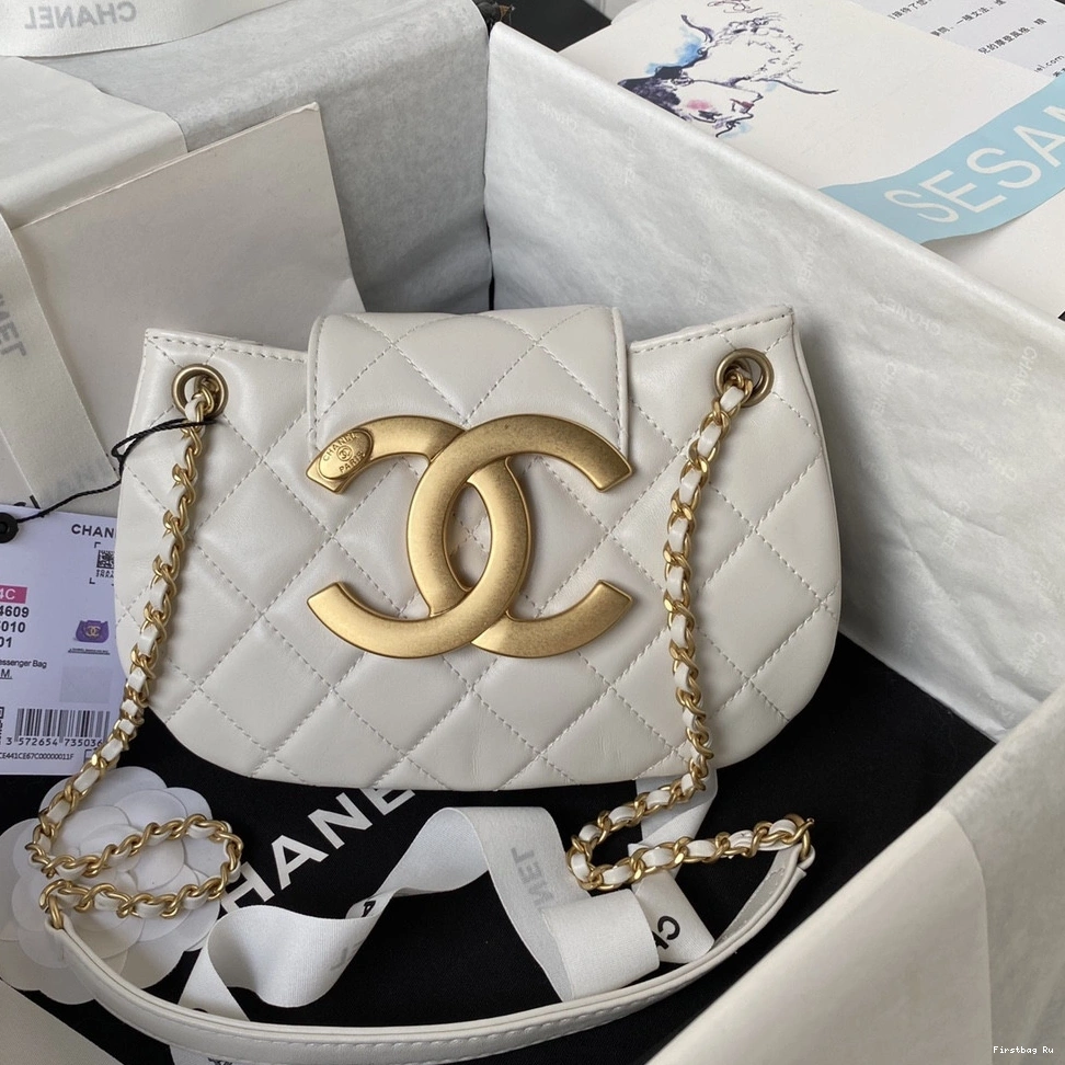 First Bag Ru CHANEL MESSENGER SMALL BAG 0709